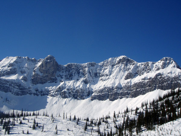 snowmobile tours in Fernie, BC