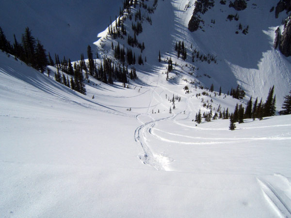 snowmobile tours in Fernie, BC