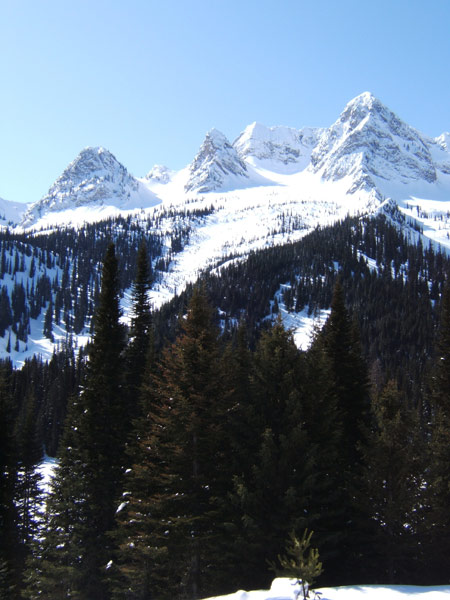 snowmobile tours in Fernie, BC
